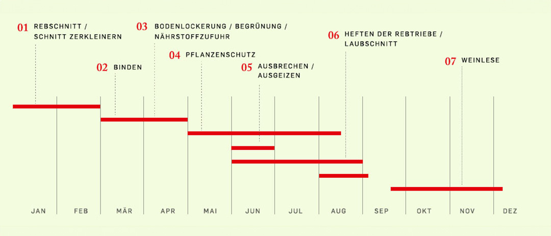 Die Jahresübersicht im Weinberg